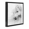 Stupell Industries Gazing White Toned Horse Floating Frame By PHBurchett